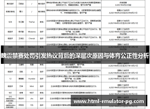 魏震禁赛处罚引发热议背后的深层次原因与体育公正性分析