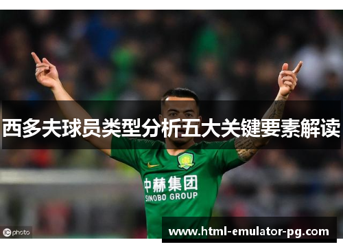 西多夫球员类型分析五大关键要素解读