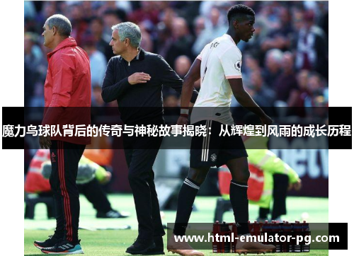 魔力鸟球队背后的传奇与神秘故事揭晓：从辉煌到风雨的成长历程