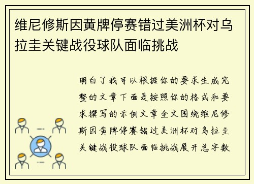 维尼修斯因黄牌停赛错过美洲杯对乌拉圭关键战役球队面临挑战